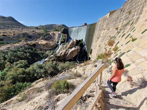 pantano de elche ruta|Ruta por el Pantano de Elche